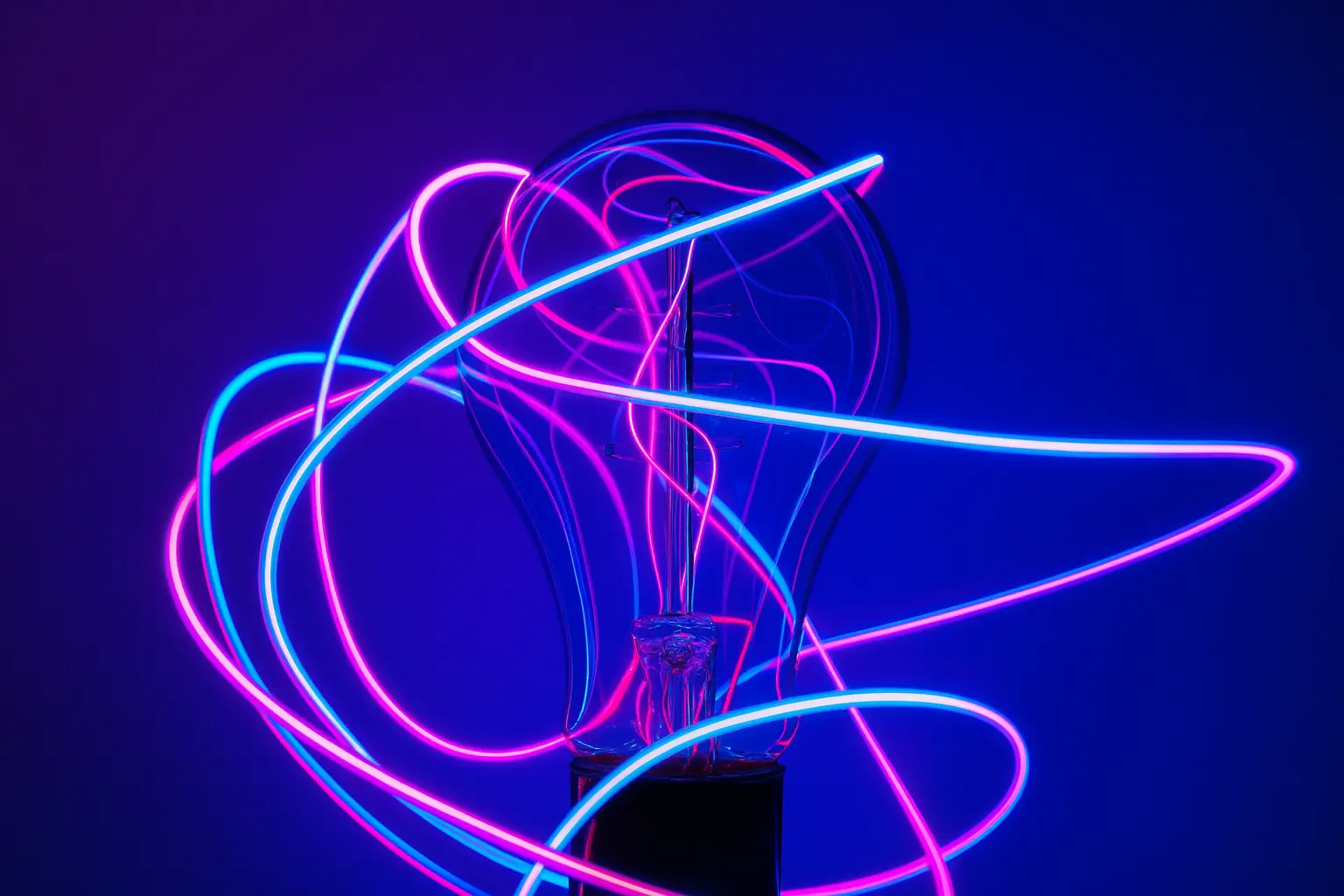 python development company